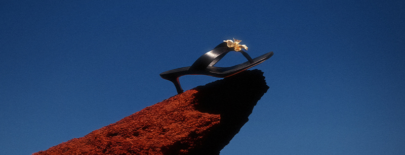 День со стилистом в EKONIKA