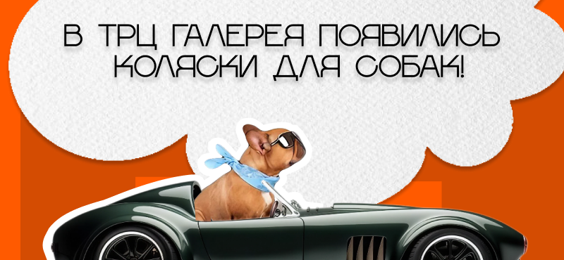 В ТРЦ Галерея появились коляски для собак!