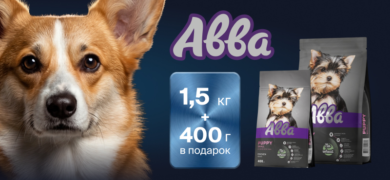 Подарите вашему любимцу здоровое будущее — с акцией от «Авва» в «Четыре Лапы»!
