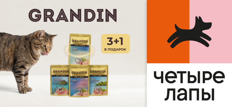 Grandin 3+1